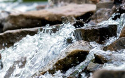 Effective April 7, 2026, Puritan Springs has secured a new spring water source.